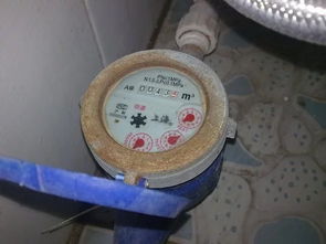 老师傅把前置过滤器装在屋外，开始并不明白，一问才知好处这么多
